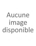 PRIMEURS 2019